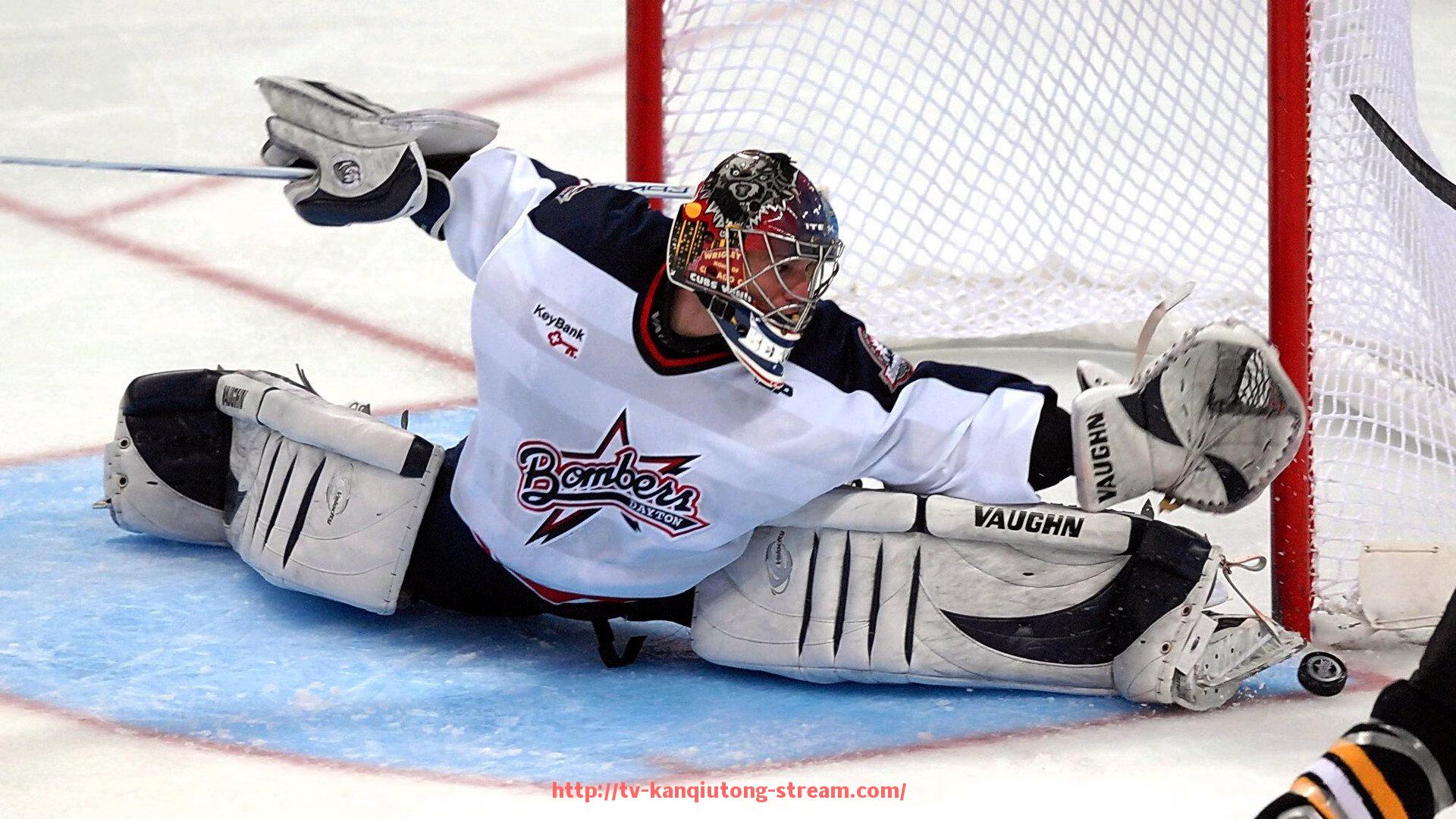 看球通-从德甲转会至英超成功立足的球员案例与经验总结